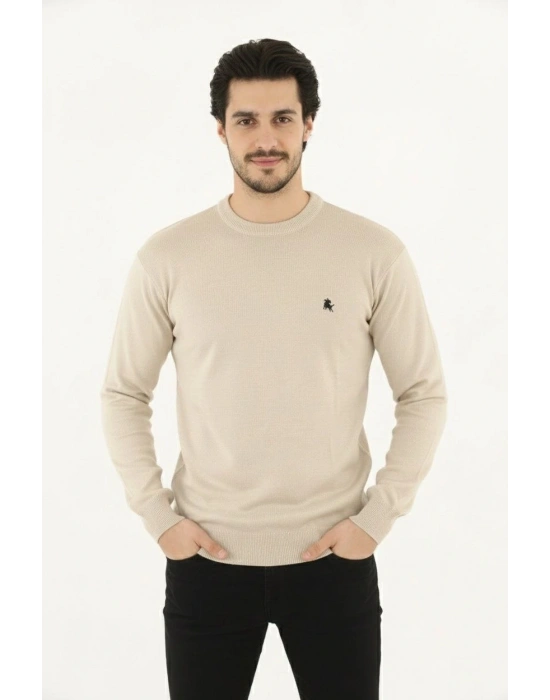 Erkek Bisiklet Yaka Nakış işlemeli Triko Kazak yumuşak dokulu Pamuklu ince Dokuma, uzun kollu Rahat Regular kalıp - Bej