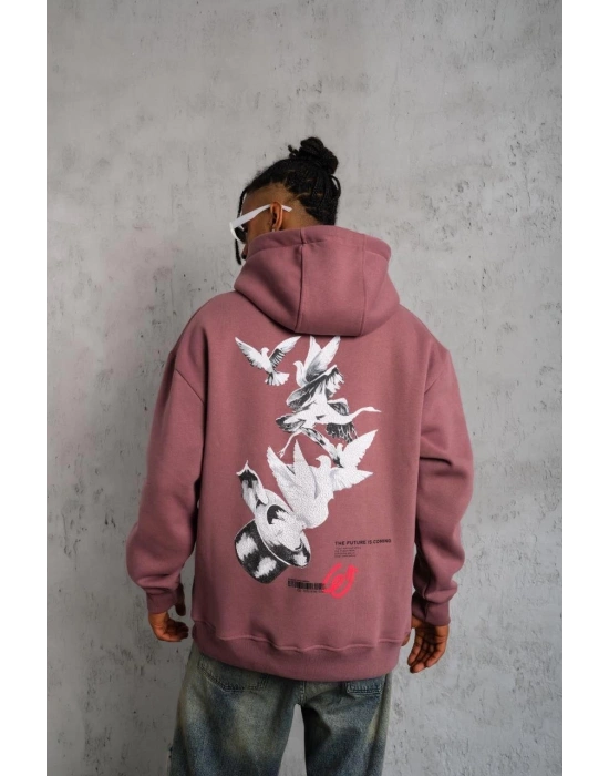 Erkek Şapkalı Güvercin Baskılı Kapşonlu Sweat - Gül Kurusu