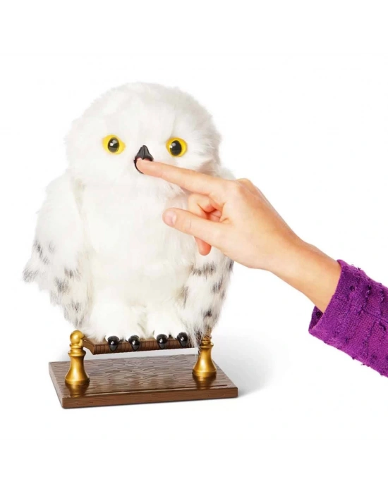 Harry Potter Büyüleyici Hedwig