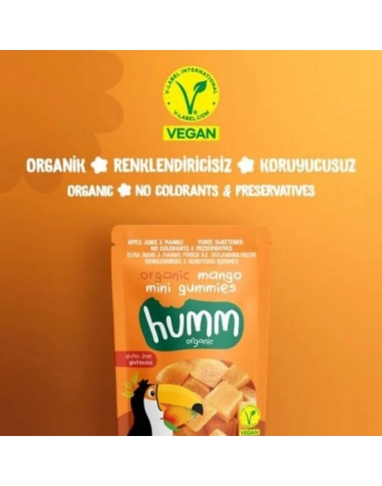 Organik Glutensiz Vegan Mangolu Mini Küpler 30 Gr