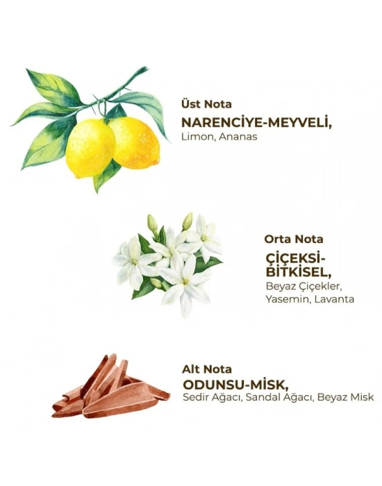 Kadın Roll On Deodorant 75 ml Fresh