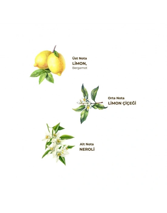 Kolonya Pet Şişe Sprey 150 ml Limon