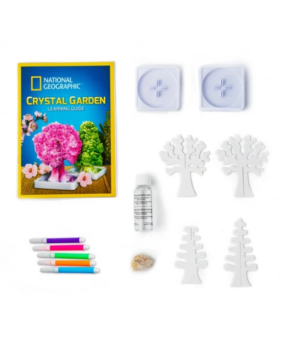 Natgeo Kristal Bitki Kiti