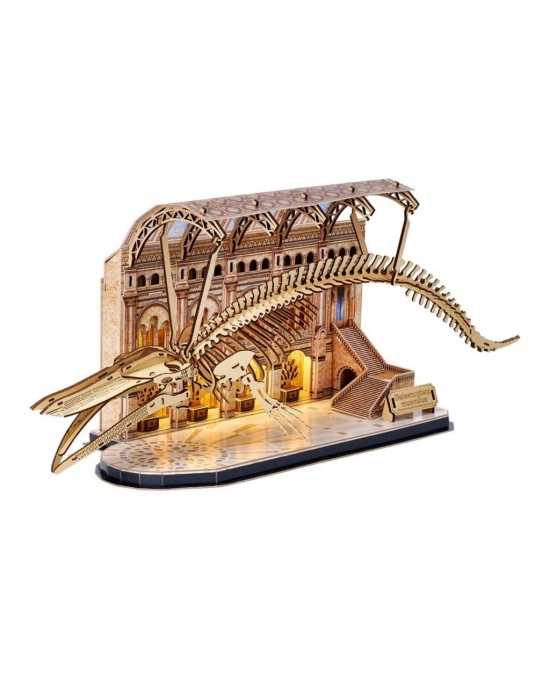 Natural Museum - Mavi Balina 3D Puzzle Led Işıklı