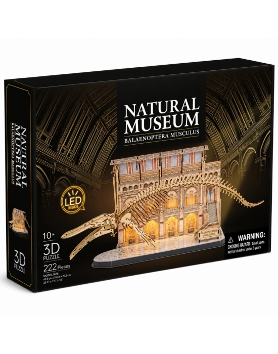 Natural Museum - Mavi Balina 3D Puzzle Led Işıklı