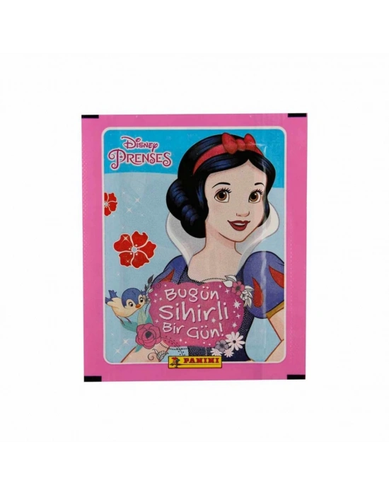 NessiWorld Princess Çıkartma Kartları