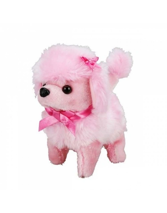 NessiWorldman Sevimli Köpek Poodle