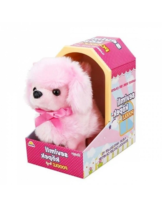 NessiWorldman Sevimli Köpek Poodle