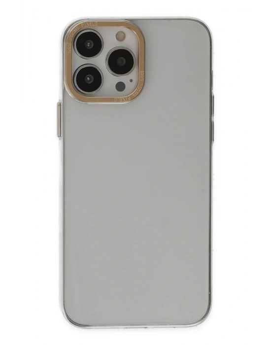 Newface iPhone 13 Pro Kılıf Anka PC Sert Metal Kapak - Şeffaf