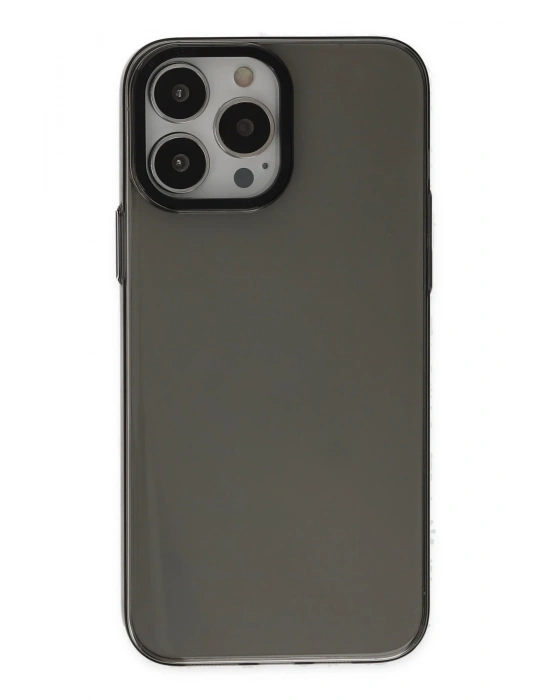 Newface iPhone 13 Pro Max Kılıf Anka PC Sert Metal Kapak - Siyah