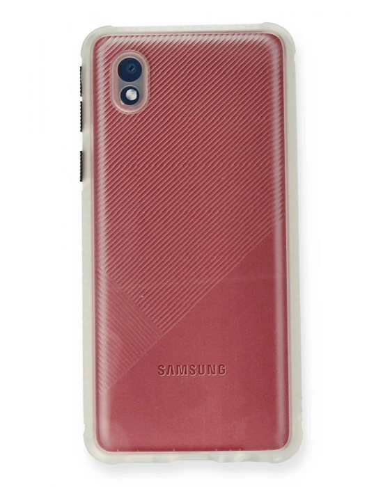 Newface Samsung Galaxy A01 Core Kılıf Miami Şeffaf Silikon - Şeffaf
