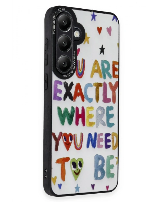 Newface Samsung Galaxy M34 5G Kılıf Mirror Desenli Kapak - Mirror - 10