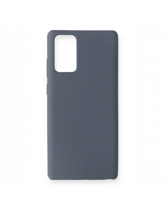 Newface Samsung Galaxy Note 20 Kılıf Nano içi Kadife Silikon - Gri