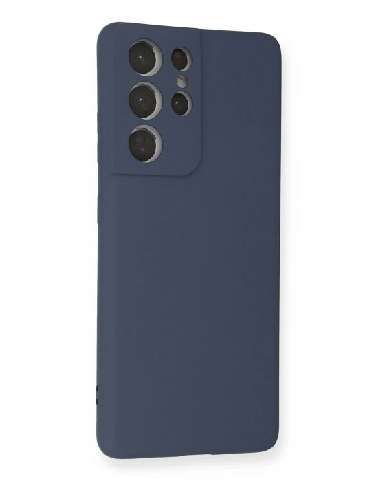 Newface Samsung Galaxy S21 Ultra Kılıf Nano içi Kadife Silikon - Gri