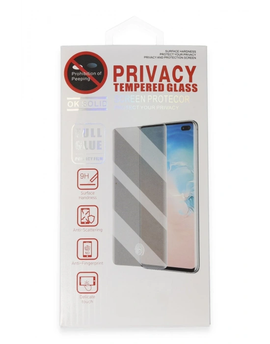 Newface Samsung Galaxy S22 Plus Hayalet Edge Cam Ekran Koruyucu