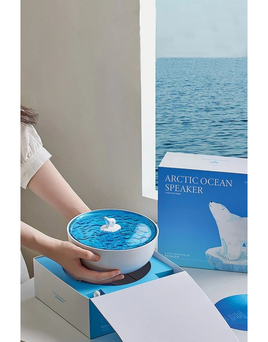 Newface Z5 Arktik Okyanus Temalı BT Kablosuz Hoparlör - Mavi