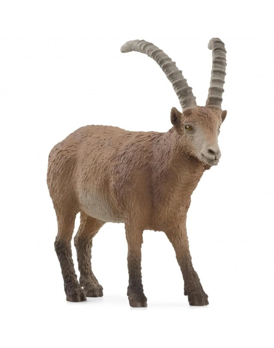 Oğlak