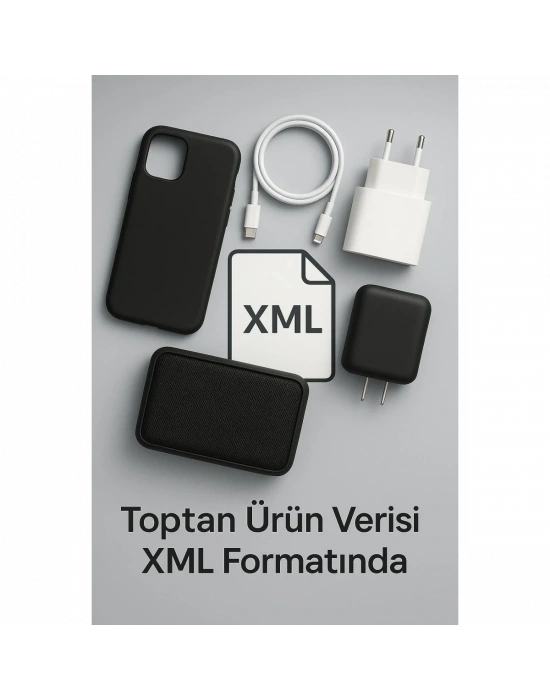 ONLİNE ÇIKTI HİZMETİ/XML (1 YILLIK )