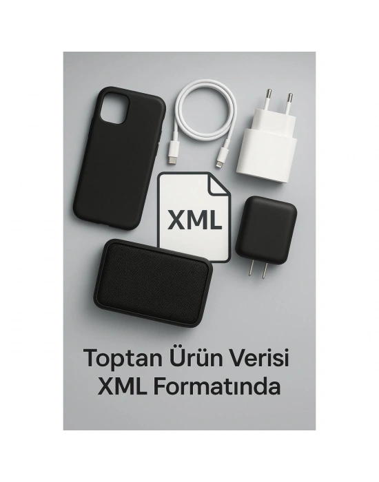 ONLİNE ÇIKTI HİZMETİ/XML (1 YILLIK )