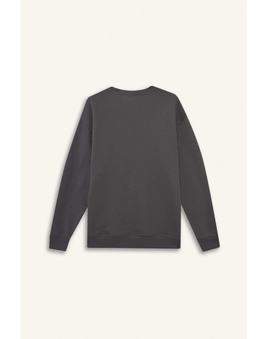 Oversize Geniş Kalıp Bisiklet Yaka Kalın Basic Düz Sweatshirt T5139AZ24AU