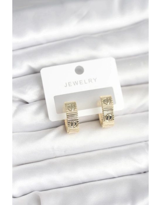 Pirinç Gold Renk Halka Kadın Küpe