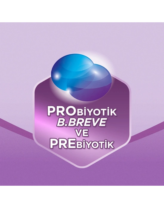 Prosyneo Devam Sütü No2 6-12 Ay 400 Gr