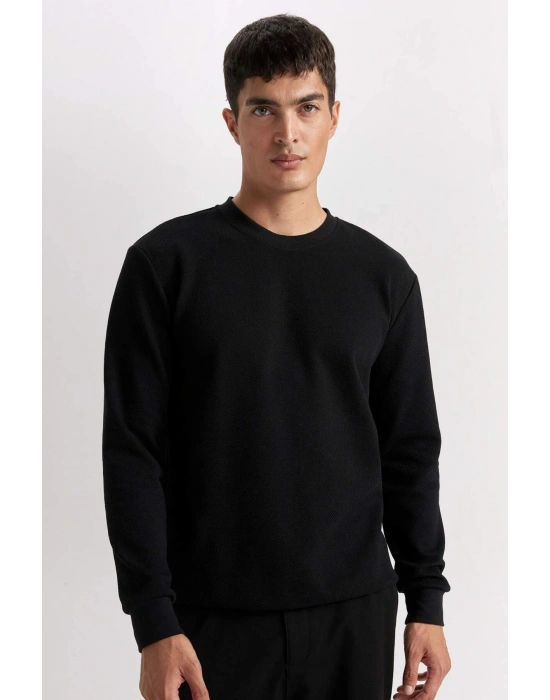 Regular Fit Bisiklet Yaka Jakarlı Sweatshirt