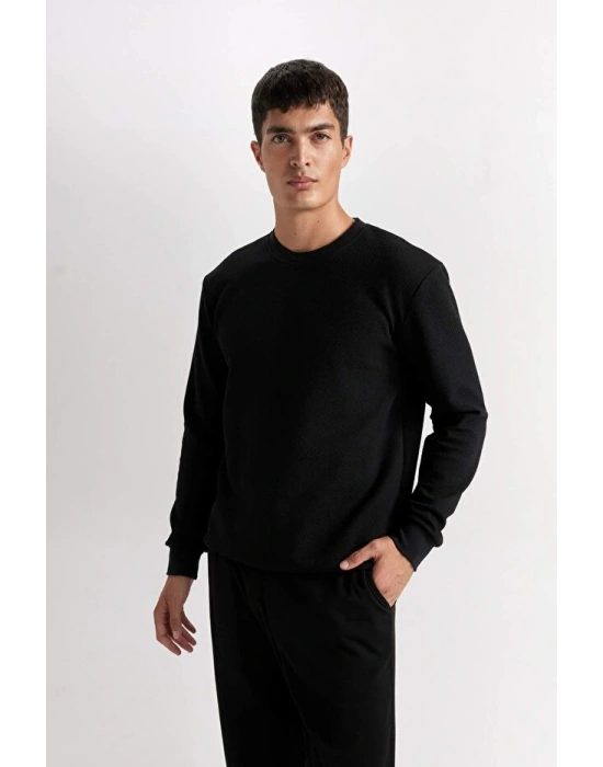 Regular Fit Bisiklet Yaka Jakarlı Sweatshirt