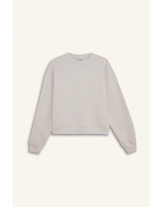 Regular Fit Bisiklet Yaka Kalın Basic Düz Sweatshirt