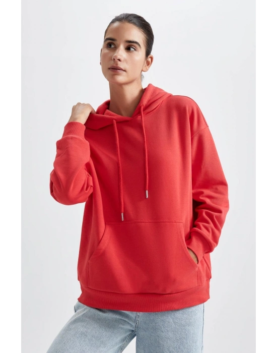 Regular Fit Kapüşonlu Sweatshirt