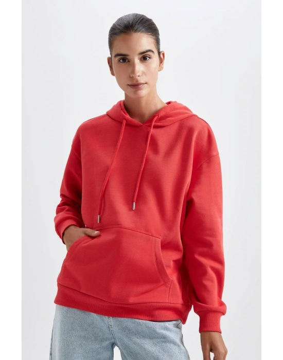Regular Fit Kapüşonlu Sweatshirt
