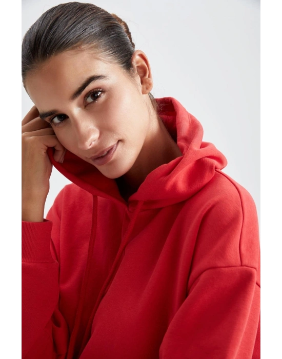 Regular Fit Kapüşonlu Sweatshirt