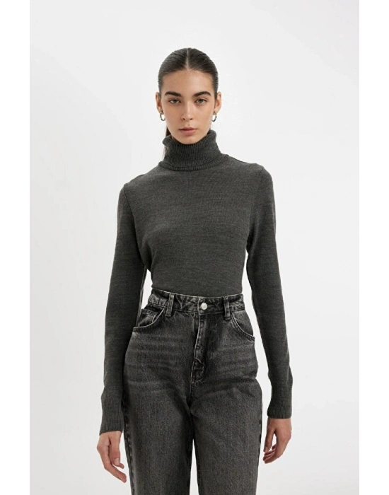 Regular Fit Yumuşak Dokulu Balıkçı Yaka Basic Düz Triko Kazak