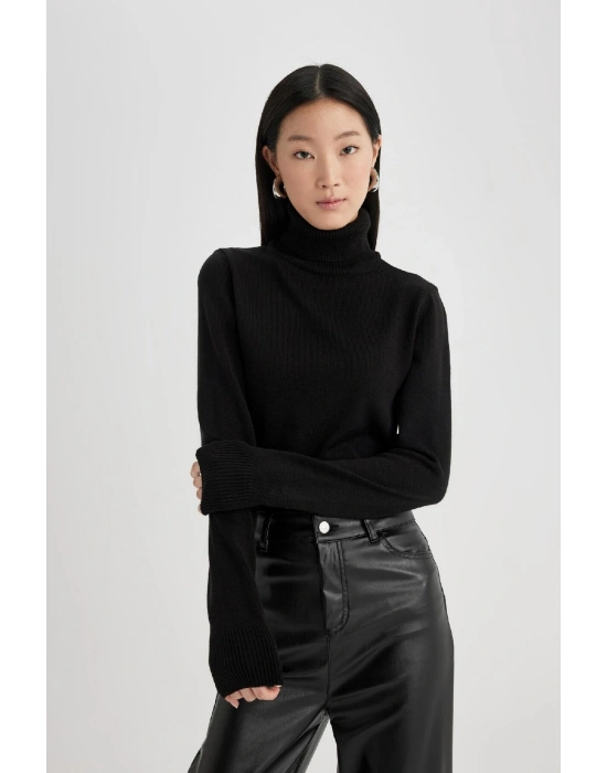 Regular Fit Yumuşak Dokulu Balıkçı Yaka Basic Düz Triko Kazak H1651az24wn