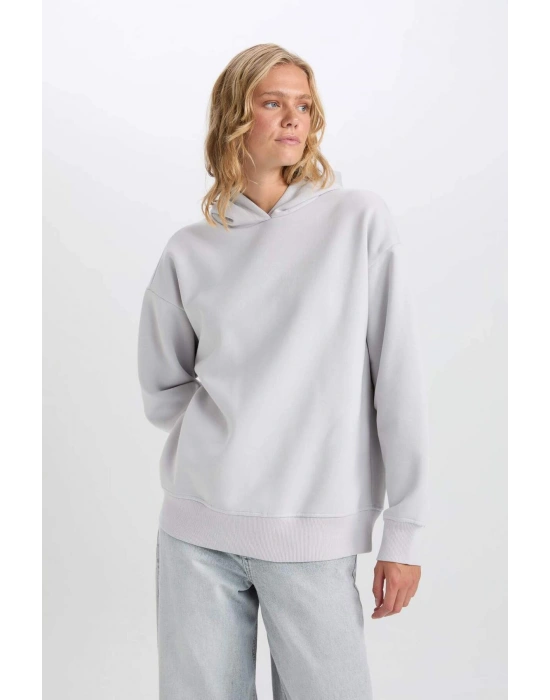 Relax Fit Kapüşonlu Kalın Basic Düz Sweatshirt D9935AX24WN