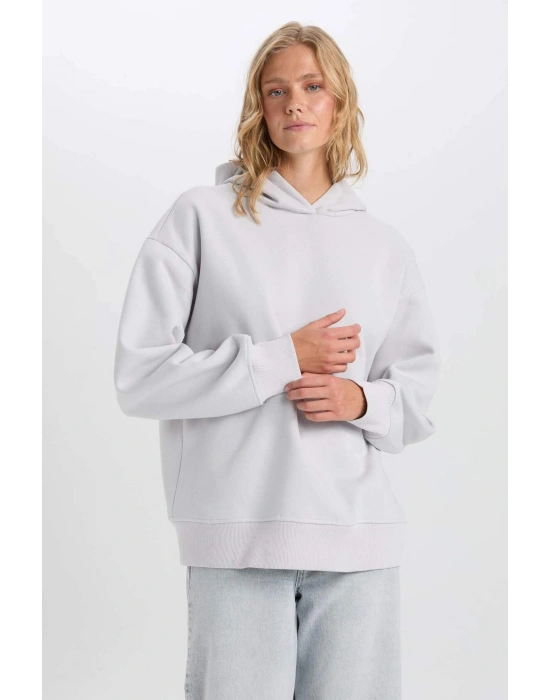 Relax Fit Kapüşonlu Kalın Basic Düz Sweatshirt D9935AX24WN