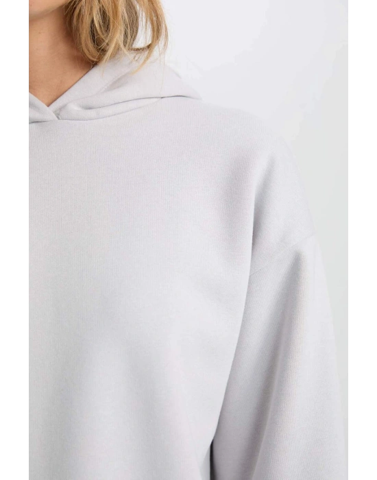 Relax Fit Kapüşonlu Kalın Basic Düz Sweatshirt D9935AX24WN