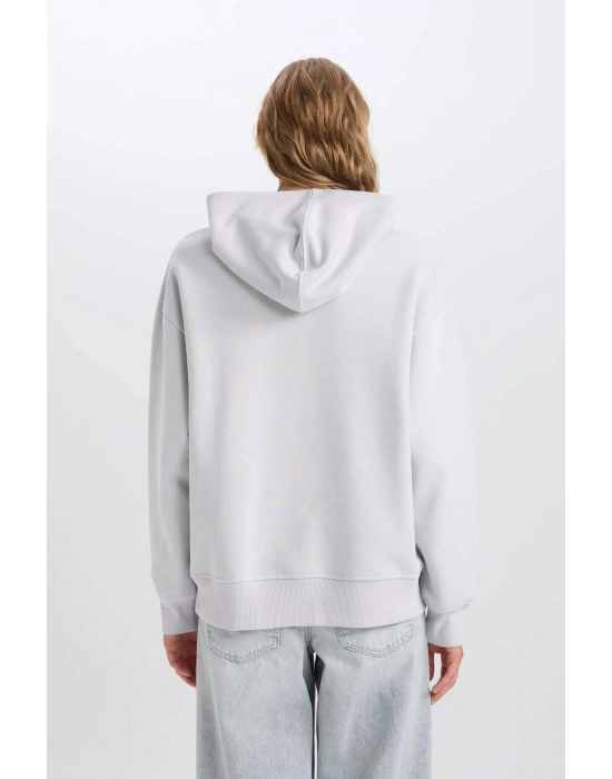 Relax Fit Kapüşonlu Kalın Basic Düz Sweatshirt D9935AX24WN
