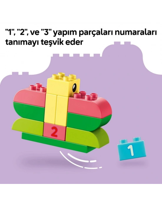 Renkli Yaratıcı Kutu 10479