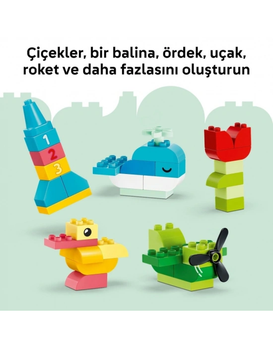 Renkli Yaratıcı Kutu 10479