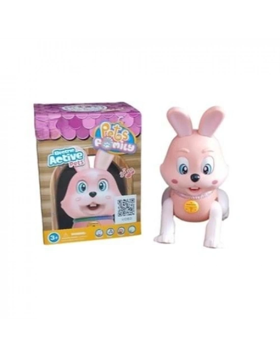 RS-9037C/9038C KUT.PİLLİ TAVŞAN / KEDİ