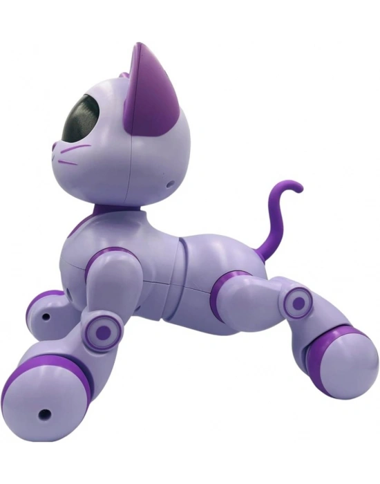 SH40194 U/K DANS EDEN ROBOT KEDİ