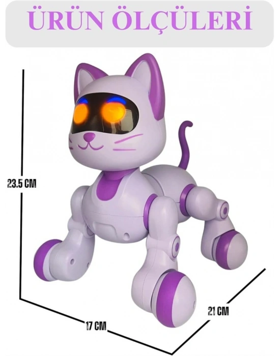 SH40194 U/K DANS EDEN ROBOT KEDİ