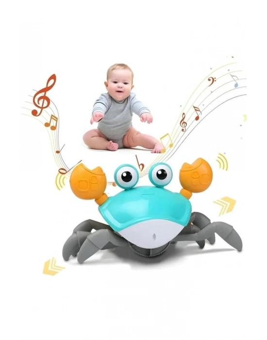 SH40381 KUT.PİLLİ YENGEÇ