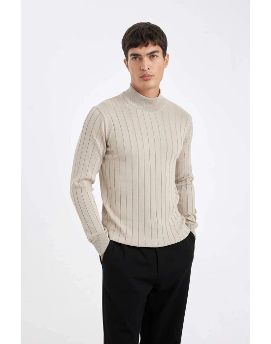 Standart Fit Normal Kesim Yarım Balıkçı Yaka Jakarlı Triko Kazak D2943AX24AU