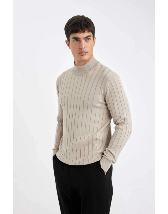 Standart Fit Normal Kesim Yarım Balıkçı Yaka Jakarlı Triko Kazak D2943AX24AU