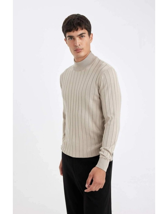 Standart Fit Normal Kesim Yarım Balıkçı Yaka Jakarlı Triko Kazak D2943AX24AU