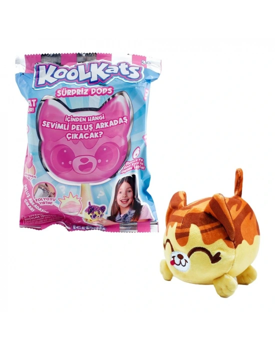 Sürpriz Peluş Kedi