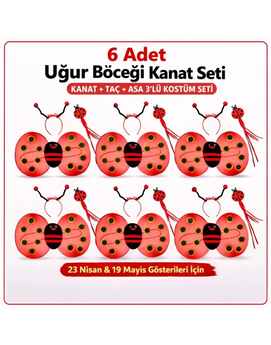 Uğur Böceği Kostüm Seti – Kanat Taç Asa