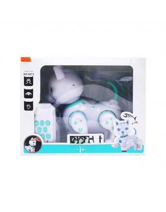 Uzaktan Kumandalı Robot Kedi